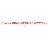 1202122981 ВЛАГОЛОВКА Epiroc
