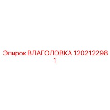 1202122981 ВЛАГОЛОВКА Epiroc