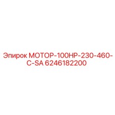 6246182200 МОТОР-100HP-230-460-C-SA Epiroc