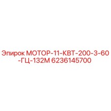 6236145700 МОТОР-11-КВТ-200-3-60-ГЦ-132М Epiroc