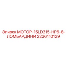 2236110129 МОТОР-15LD315-HP6-8-ЛОМБАРДИНИ Epiroc