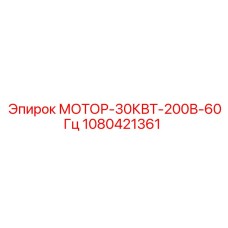 1080421361 МОТОР-30КВТ-200В-60Гц Epiroc