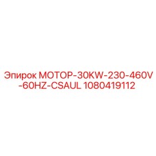 1080419112 МОТОР-30KW-230-460V-60HZ-CSAUL Epiroc