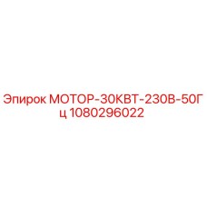 1080296022 МОТОР-30КВТ-230В-50Гц Epiroc