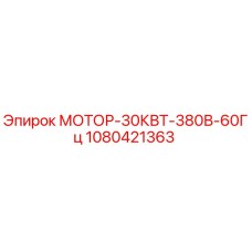 1080421363 МОТОР-30КВТ-380В-60Гц Epiroc