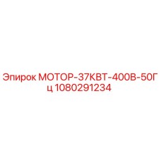 1080291234 МОТОР-37КВТ-400В-50Гц Epiroc