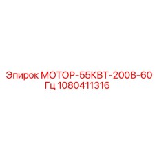 1080411316 МОТОР-55КВТ-200В-60Гц Epiroc