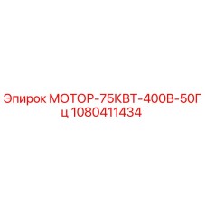 1080411434 МОТОР-75КВТ-400В-50Гц Epiroc