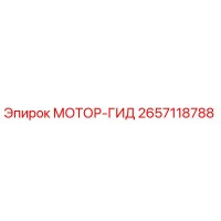 2657118788 МОТОР-ГИД (Epiroc)