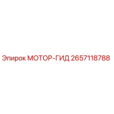 2657118788 МОТОР-ГИД (Epiroc)