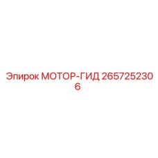 2657252306 МОТОР-ГИД Epiroc