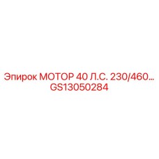 GS13050284 МОТОР 40 Л.С. 230/460 Epiroc