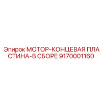 9170001160 МОТОР-КОНЦЕВАЯ ПЛАСТИНА-В СБОРЕ Epiroc