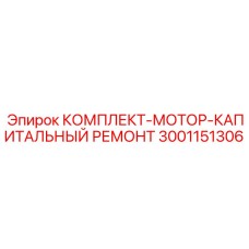 3001151306 КОМПЛЕКТ-МОТОР-КАПИТАЛЬНЫЙ РЕМОНТ Epiroc