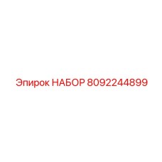 8092244899 НАБОР Epiroc