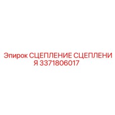 3371806017 СЦЕПЛЕНИЕ СЦЕПЛЕНИЯ Epiroc