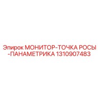 1310907483 МОНИТОР-ТОЧКА РОСЫ-ПАНАМЕТРИКА Epiroc