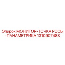 1310907483 МОНИТОР-ТОЧКА РОСЫ-ПАНАМЕТРИКА Epiroc