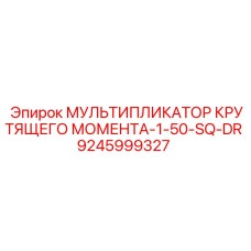 9245999327 МУЛЬТИПЛИКАТОР КРУТЯЩЕГО МОМЕНТА-1-50-SQ-DR Epiroc