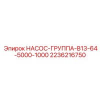 2236216750 НАСОС-ГРУППА-B13-64-5000-1000 Epiroc