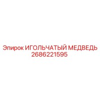 2686221595 ИГОЛЬЧАТЫЙ МЕДВЕДЬ Epiroc