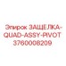 3760008209 ЗАЩЕЛКА-QUAD-ASSY-PIVOT Epiroc