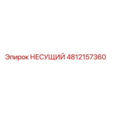4812157360 НЕСУЩИЙ Epiroc