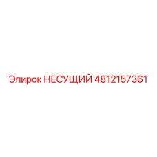 4812157361 НЕСУЩИЙ Epiroc