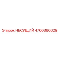 4700360629 НЕСУЩИЙ Epiroc