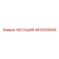 4812039545 НЕСУЩИЙ Epiroc