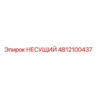 4812100437 НЕСУЩИЙ Epiroc