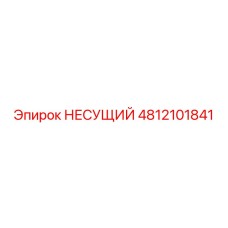 4812101841 НЕСУЩИЙ Epiroc