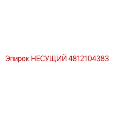 4812104383 НЕСУЩИЙ Epiroc