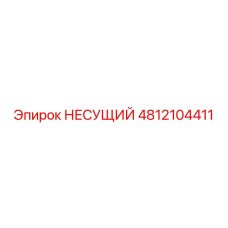 4812104411 НЕСУЩИЙ Epiroc
