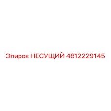 4812229145 НЕСУЩИЙ Epiroc