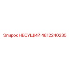 4812240235 НЕСУЩИЙ Epiroc