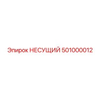 501000012 НЕСУЩИЙ Epiroc