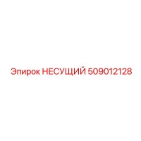 509012128 НЕСУЩИЙ Epiroc