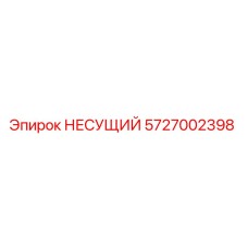 5727002398 НЕСУЩИЙ Epiroc