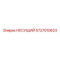 5727010623 НЕСУЩИЙ Epiroc