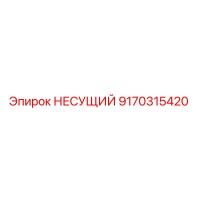 9170315420 НЕСУЩИЙ Epiroc