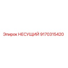 Оригинальный несущий элемент Epiroc артикул 9170315420