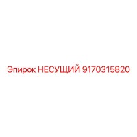 9170315820 НЕСУЩИЙ Epiroc