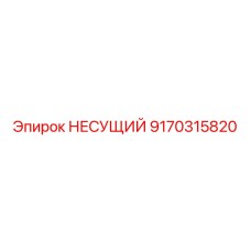 9170315820 НЕСУЩИЙ Epiroc