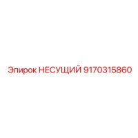 9170315860 НЕСУЩИЙ Epiroc