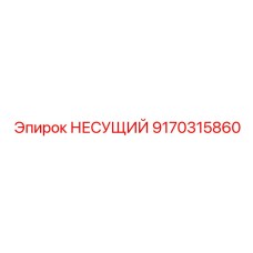 9170315860 НЕСУЩИЙ Epiroc