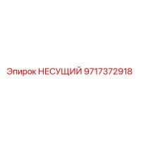 9717372918 НЕСУЩИЙ Epiroc