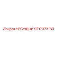 9717373130 НЕСУЩИЙ Epiroc