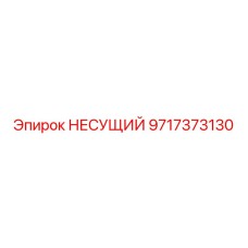 Оригинальный несущий элемент 9717373130 производства Epiroc