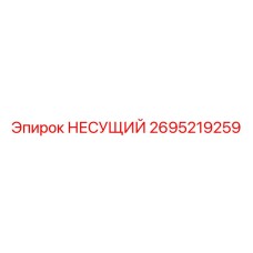 2695219259 НЕСУЩИЙ Epiroc